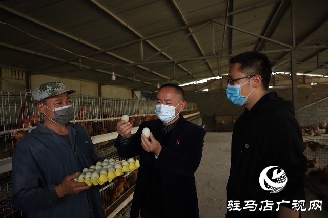 驻马店驿城区：多产稳增收 拓展致富路