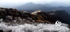 驻马店市老乐山景区清晨雾凇景观美如画卷