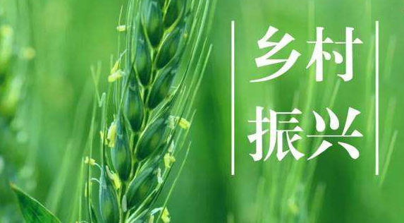 确山双河镇：清风紧吹小微权 清廉乡村助振兴