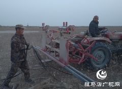 第一书记带领大龄农民不远万里增收入