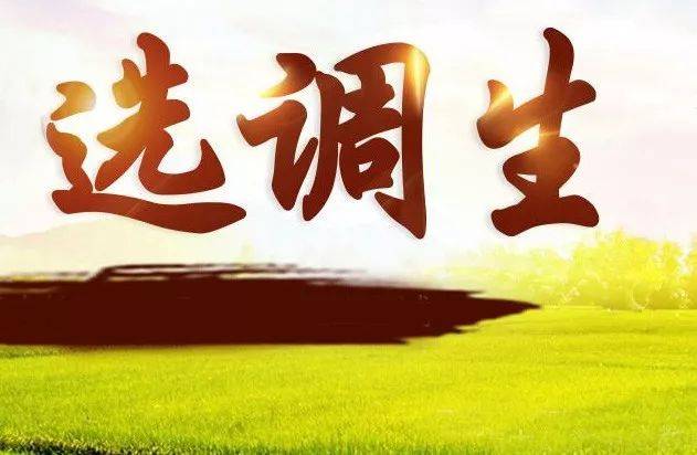 多省份选调生招录密集进行 “抢人大战”不断升温