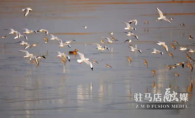 微信图片_20220111110741.jpg