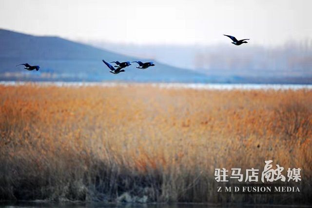 微信图片_20220111110844.jpg