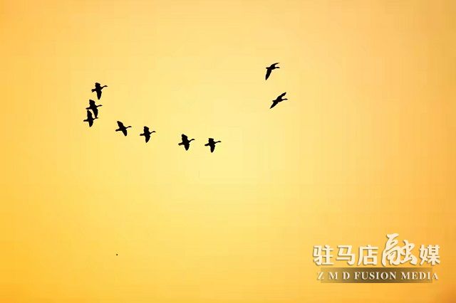 微信图片_20220111110833.jpg