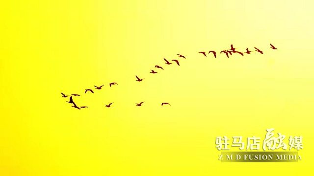 微信图片_20220111110841.jpg