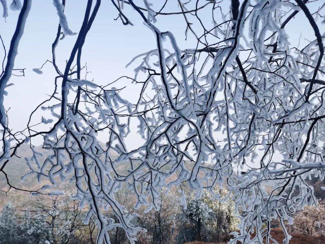 微信图片_20220113101811.jpg