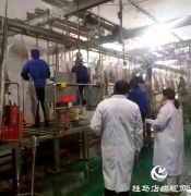 确山县农业综合行政执法大队严把生鲜市场检疫关