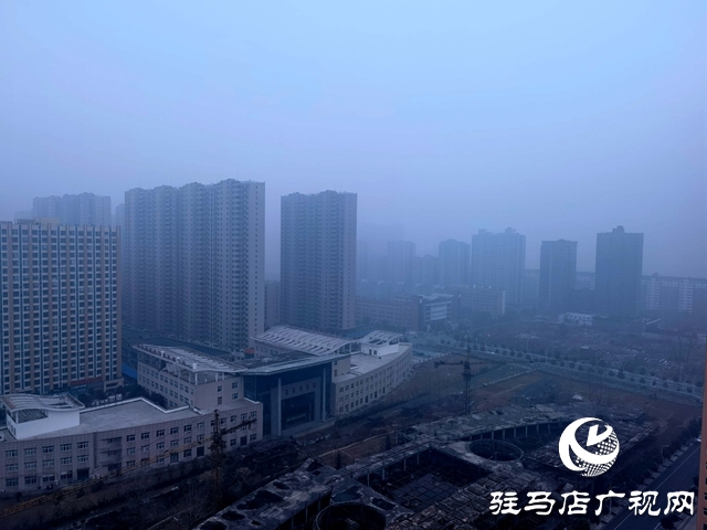 驻马店大雾笼罩 宛若仙境
