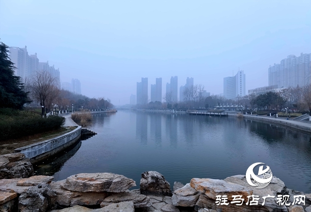 驻马店大雾笼罩 宛若仙境