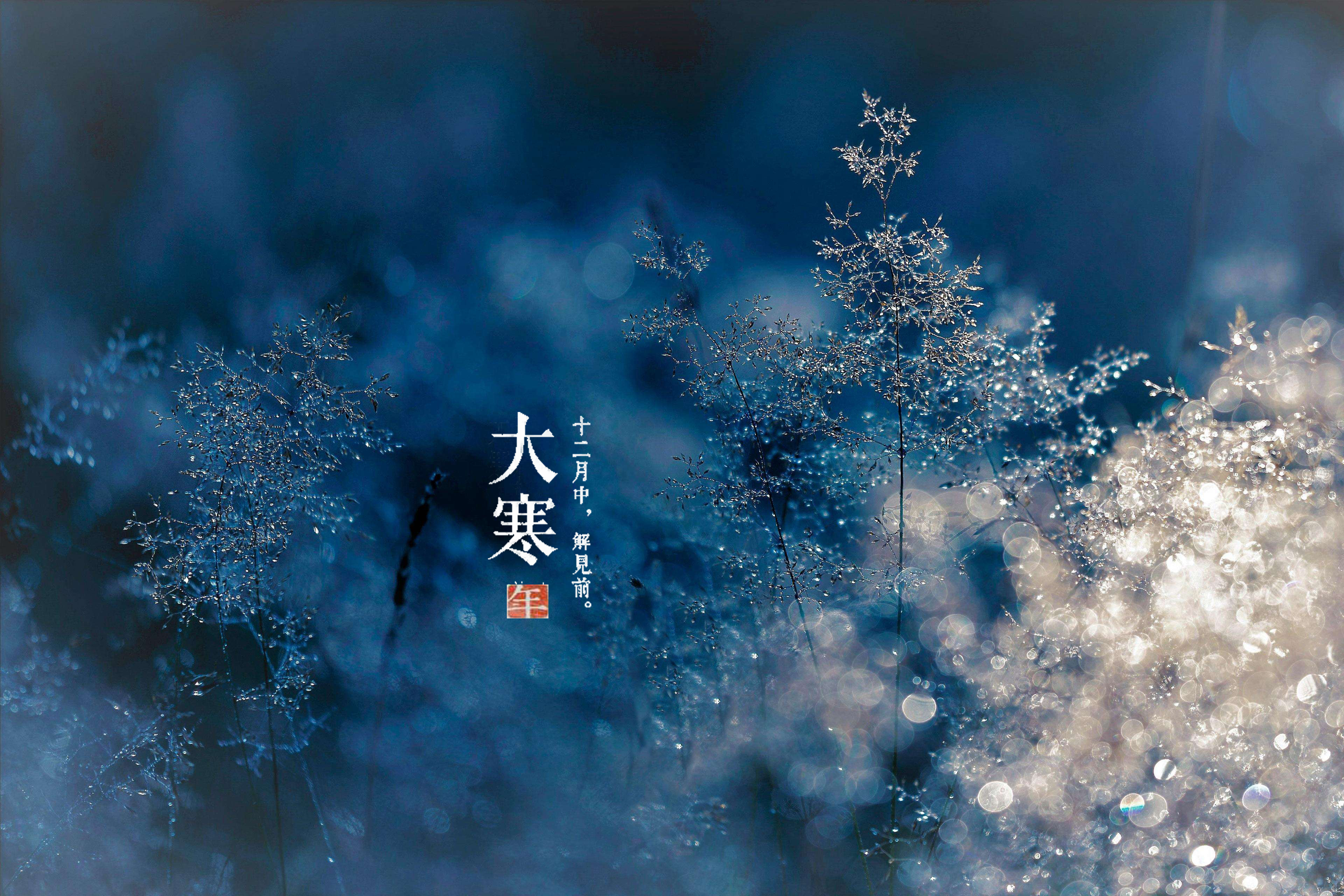 今日大寒｜耐得冬日寂寞 终见春日繁华