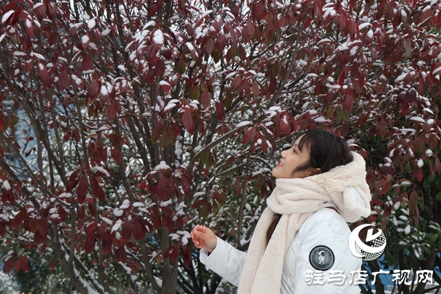驻马店飘雪了