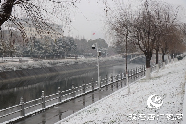 驻马店飘雪了