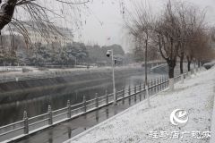 驻马店飘雪了