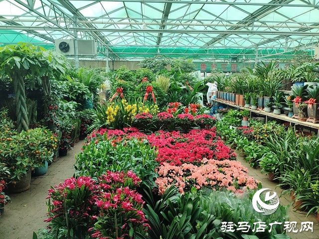 百花迎新春 虎年要来到