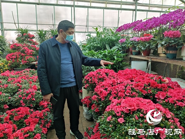 百花迎新春 虎年要来到