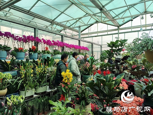 百花迎新春 虎年要来到