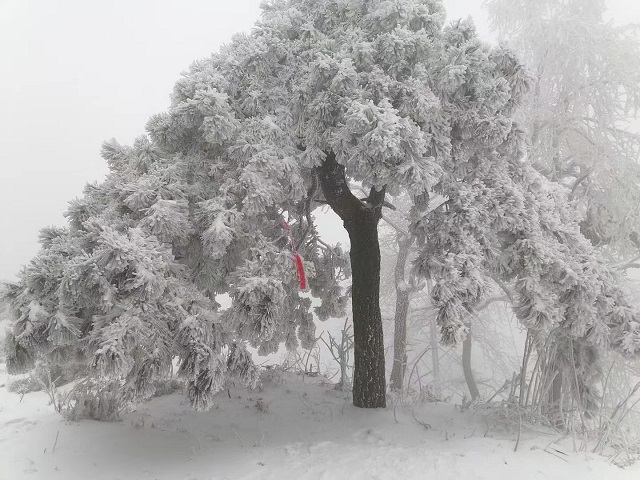 驻马店：冬日老乐山 美景如仙境