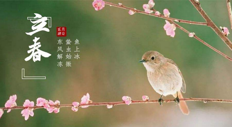 今日立春｜春到人间草木知