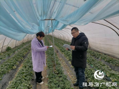 新蔡县化庄乡扎实做好低温和雨雪灾害防范应对工作
