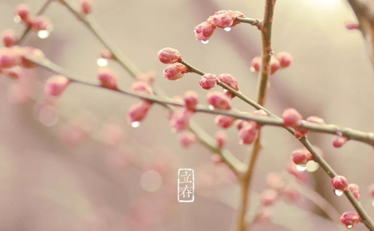 二十四节气，中国人标识岁月的独有刻度