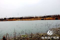 新蔡县：初春风光美如画