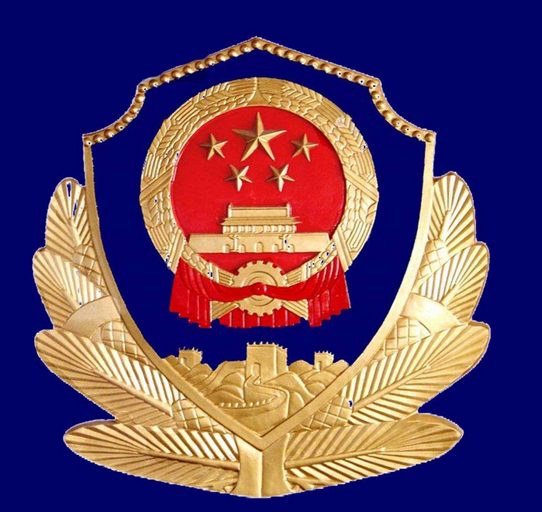 刑满释放又“伸手” 平舆警方抓获惯盗解民忧