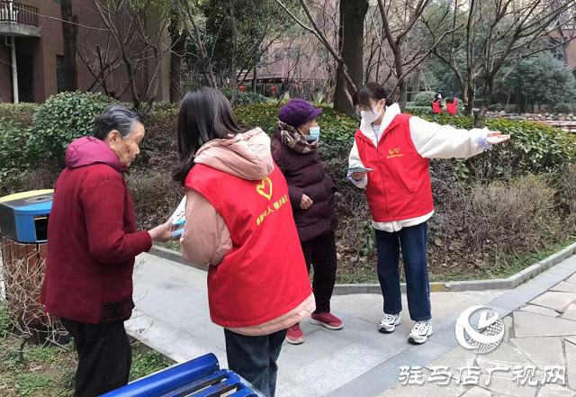 团驻马店市开发区委开展“青春守护 平安春节”主题宣传进社区活动