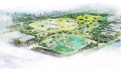 1645491468118458.jpg 1645486077858190.jpg