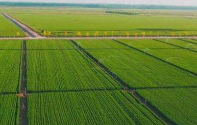 省政府常务会议：研究灾后恢复重建、高标准农田建设等工作