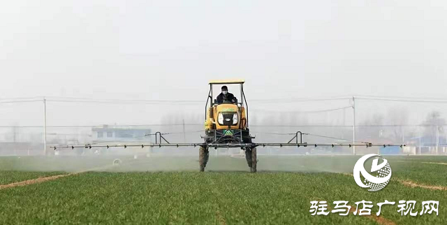 驻马店市农业农村局：加强春季麦田管理 助力夏粮丰收