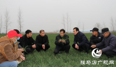 驻马店市农业农村局：加强春季麦田管理 助力夏粮丰收