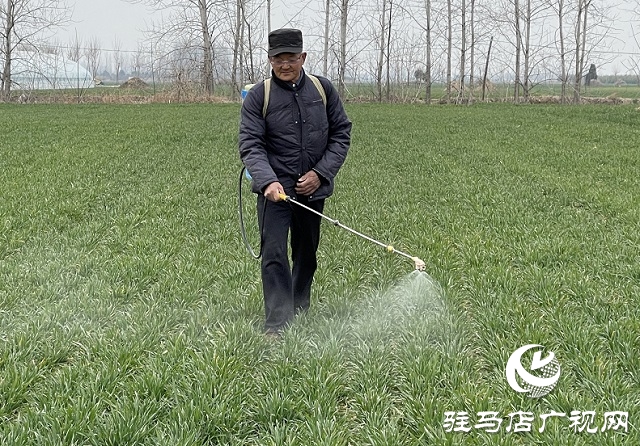驻马店市农业农村局：加强春季麦田管理 助力夏粮丰收
