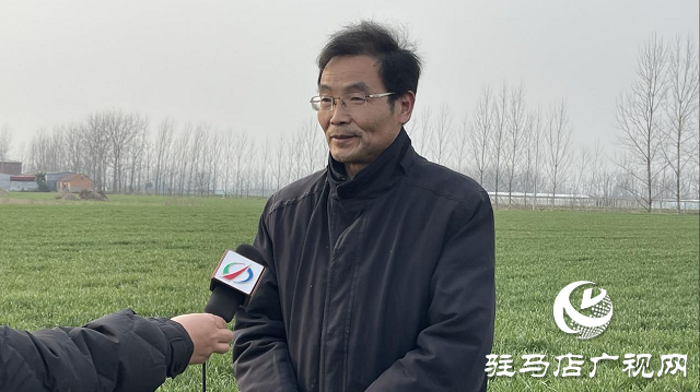 驻马店市农业农村局：加强春季麦田管理 助力夏粮丰收