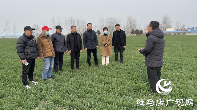 驻马店市农业农村局：加强春季麦田管理 助力夏粮丰收