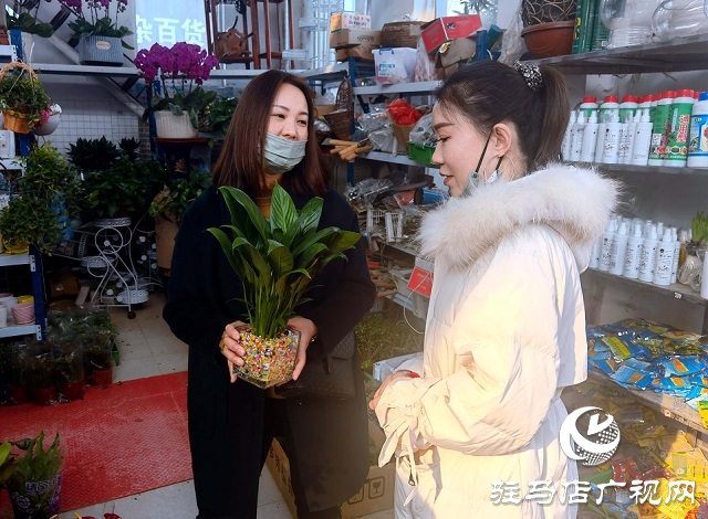 驻马店:花卉市场人气旺 市民把春天带回家