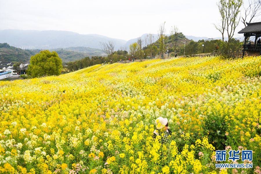 春季吃“2白”！顺应时令，健健康康过春天