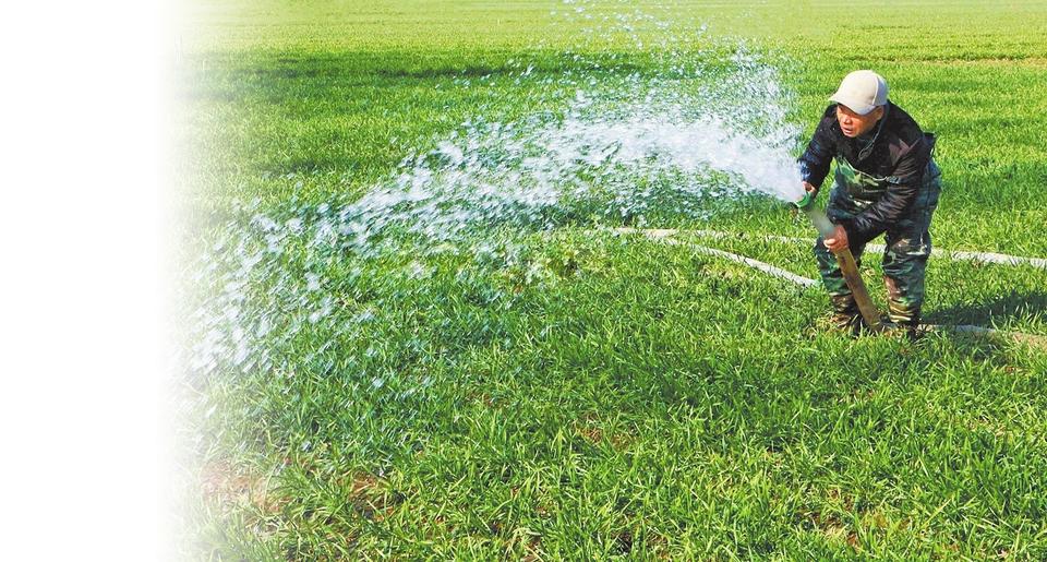 1645664322108402.jpg 1645659918257830.jpg