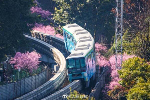 美！开往春天的列车来啦