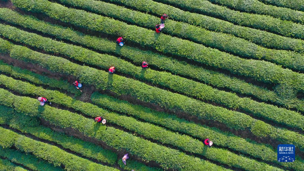 春耕春管正当时