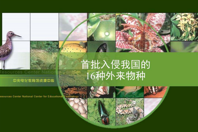 严防外来物种入侵 用科技织牢国家生物安全防护网