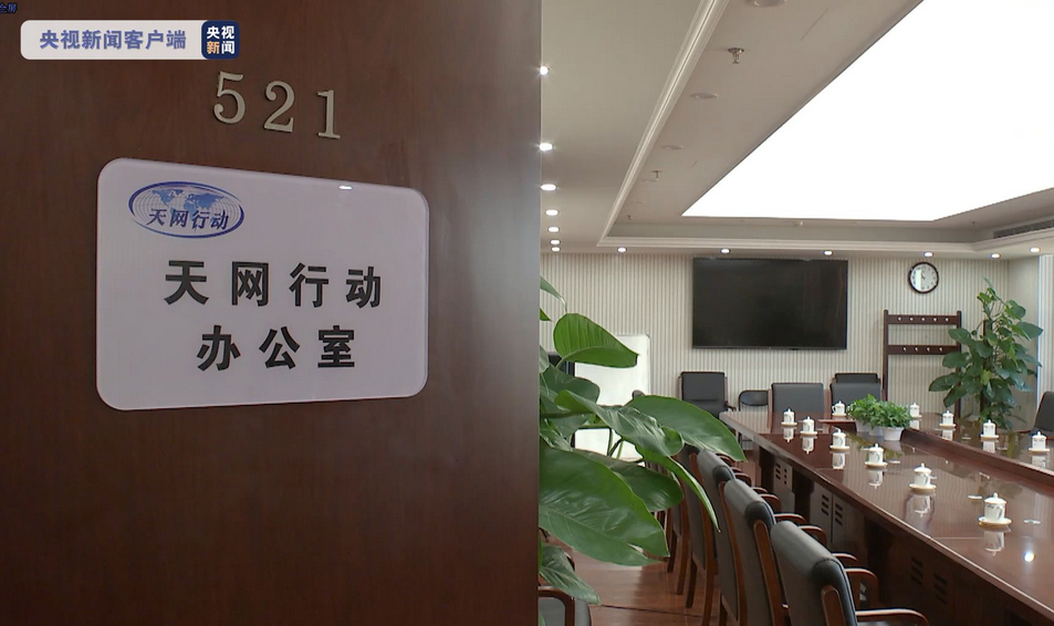 “天网2022”行动正式启动