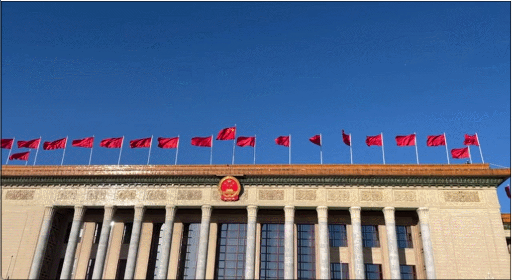 国风美女出道即顶流！河南博物院院长全程英文揭秘爆红原因