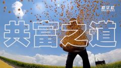 走向共同富裕，代表委员提到这些“关键词”