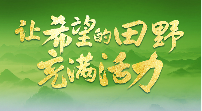 从全国两会看乡村振兴发力点