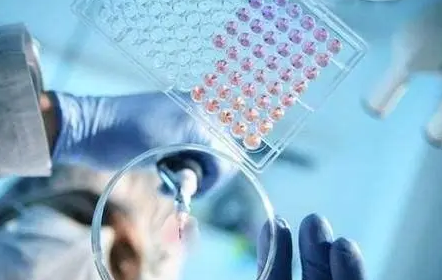 世卫组织：上周全球新增新冠确诊病例超1000万例