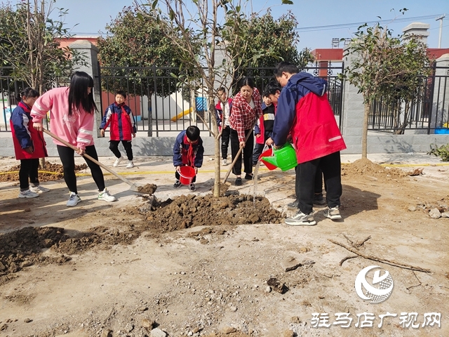 确山县普会寺镇张营小学开展义务植树活动