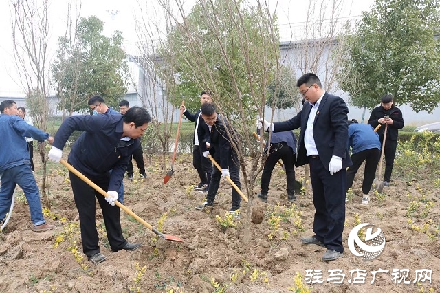 驻马店弘康环保公司举行植树活动