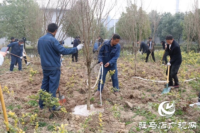 驻马店弘康环保公司举行植树活动