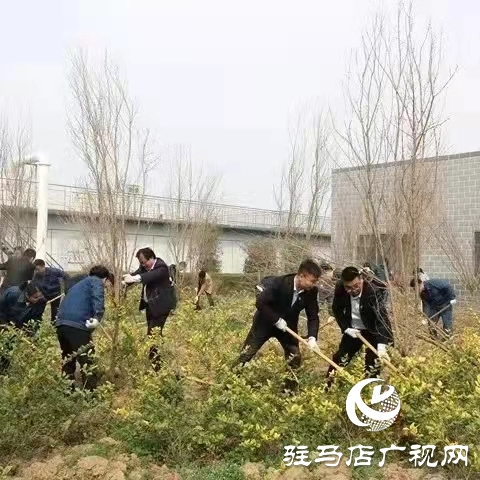 驻马店弘康环保公司举行植树活动
