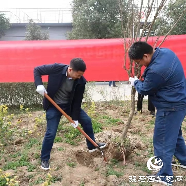 驻马店弘康环保公司举行植树活动
